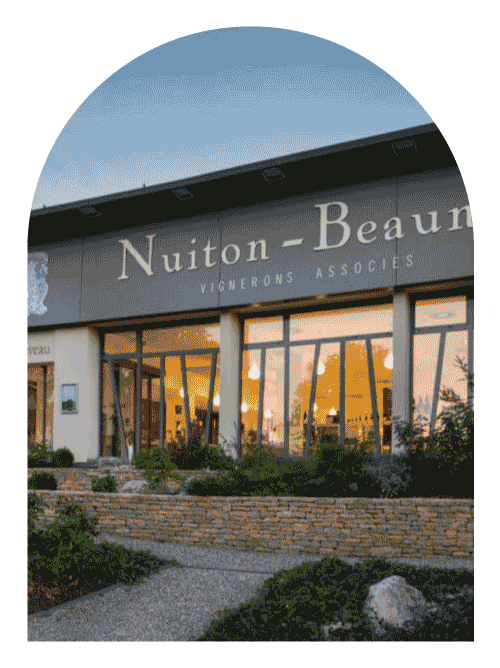 勃根地最高 CP 值 平價葡萄酒 日月酒莊 Nuiton Beaunoy